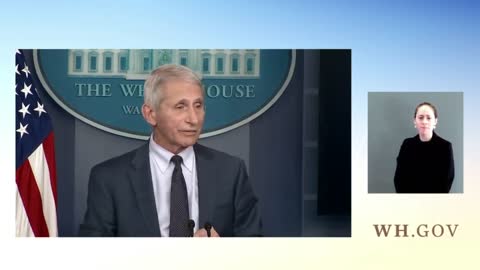 Anthony Fauci Responds To Revelation That Trump Tested Positive For Covid Ahead Of Debate With Biden