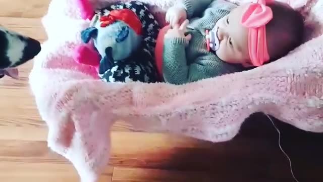 Persistent Dog Wants To Play Fetch With A Newborn Baby