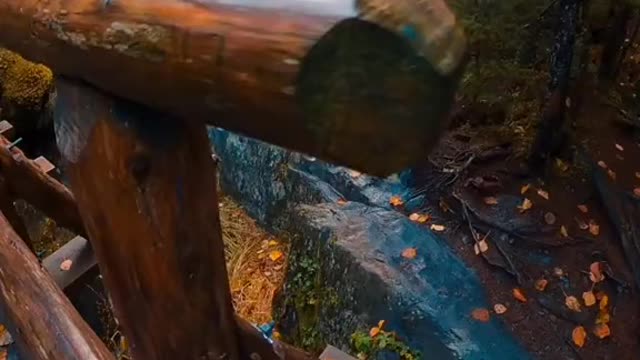 Really cool and amazing scenes from Alaska