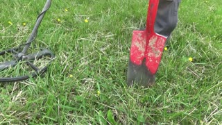 Digging Day 5-16-2021