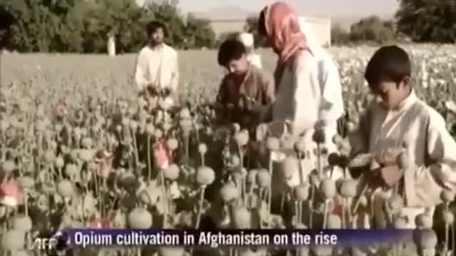 A The Plan To Save The World