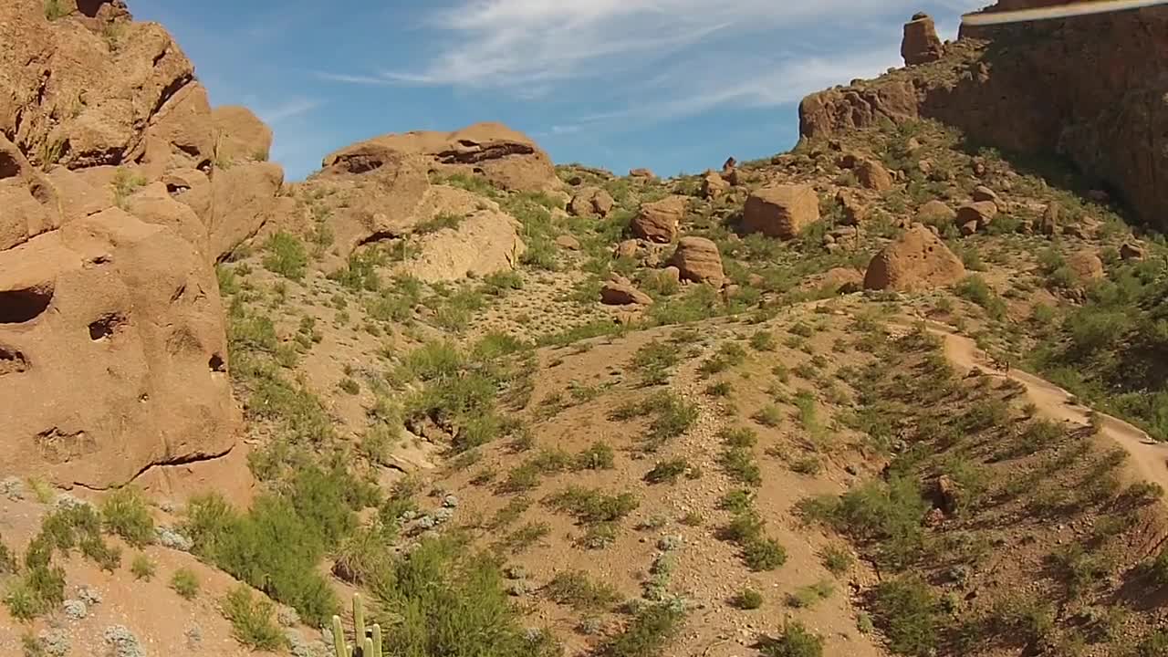 Types of desert