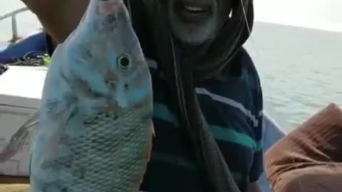 The best types fish