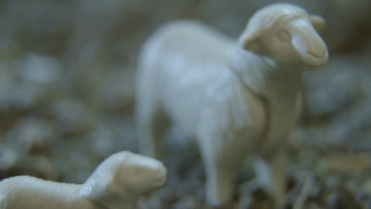 Nativity Scene - Sheep And Lamb Figurines