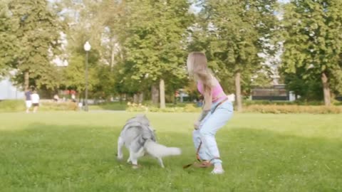 How to train a dog ? For home security