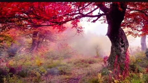 New Benjamin Fulford December Update On The War With The Deep State Insider