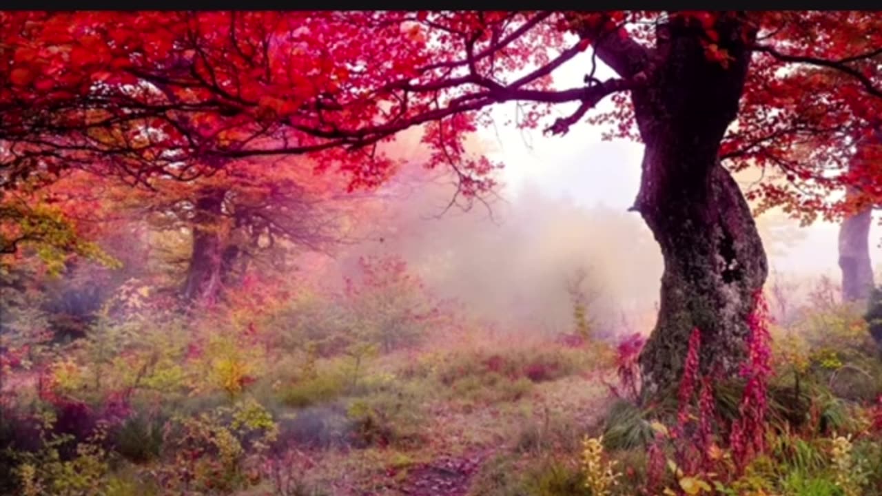 New Benjamin Fulford December Update On The War With The Deep State Insider