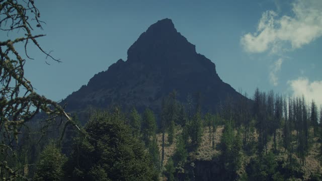 Timelapse of a mountain in a forest