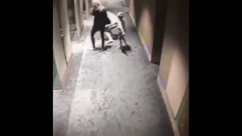 Funny boy took revenge