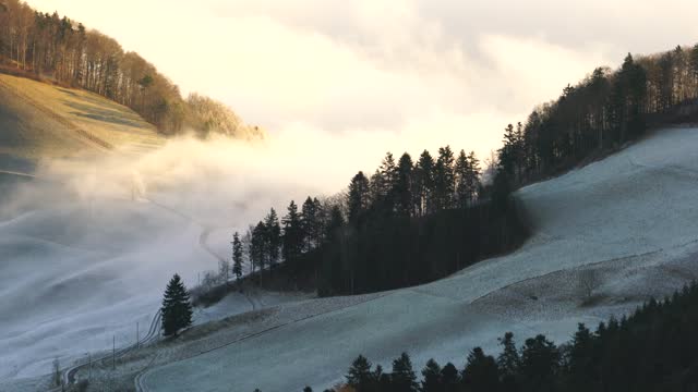 THE SPRING WAVE TO THE MOUNTAIN