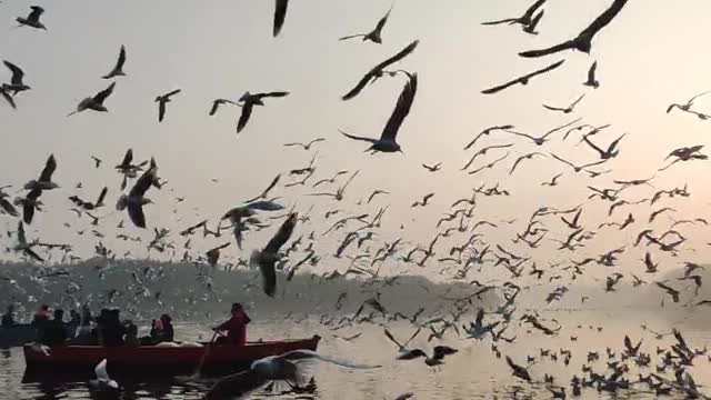 Amazing place।bird flying cloudly।so beatiful place।beautiful seen।