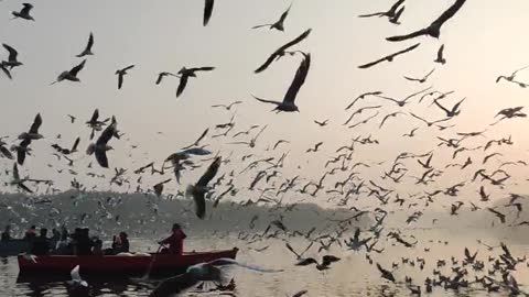 Amazing place।bird flying cloudly।so beatiful place।beautiful seen।