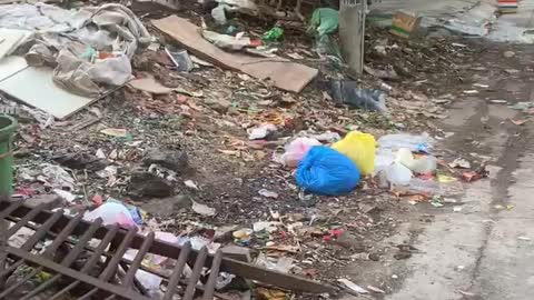 litter littering