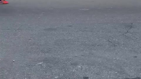 Un canard au marathon de New York.🦢🦢