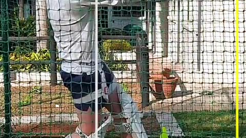 How to play Full shot in cricket