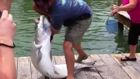 Big Fish caught with the Mans Arm