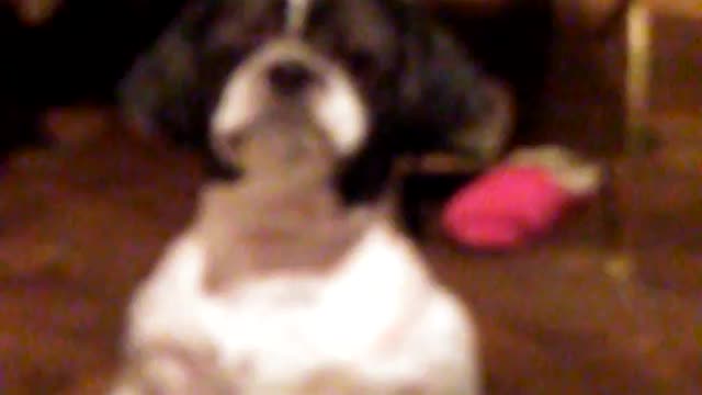 Max needs..something..