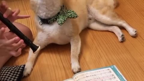 Most viral Singing Dog