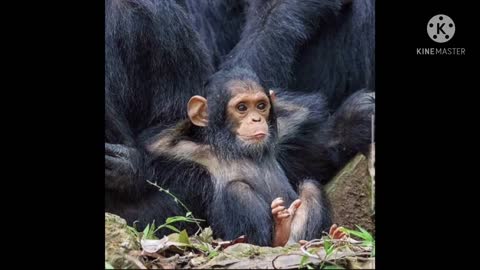 Read the Bible with me. Matthew 27