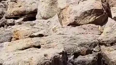 Jabal Rahma (Mount of Mercy) in Arafat, Makkah – A Sacred Islamic Landmark