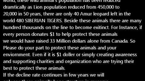A Clip from movie African Cats, King of the jungle vs Crocodile