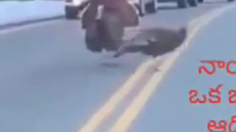 Leadership is Responsibility #shorts #viral #shortsvideo #video