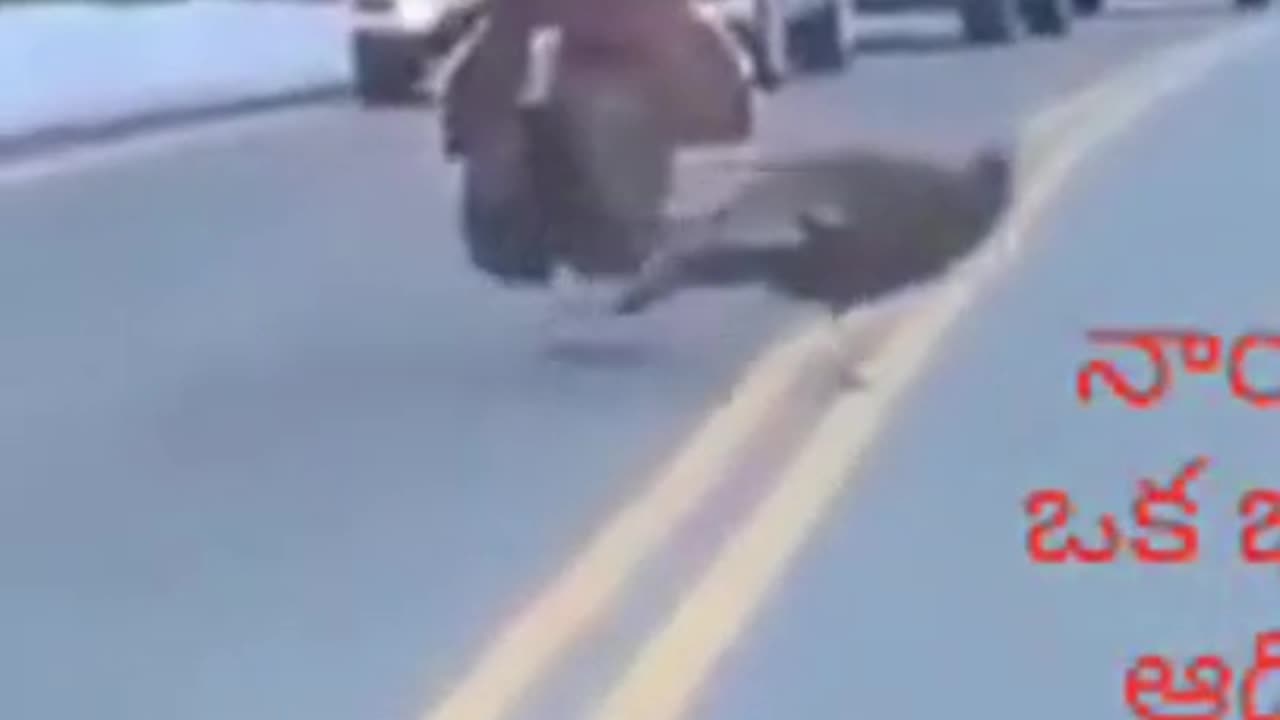 Leadership is Responsibility #shorts #viral #shortsvideo #video