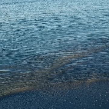 Treasure Island shore