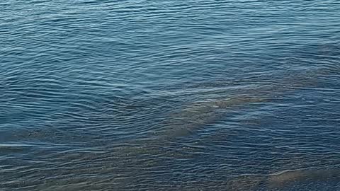 Treasure Island shore