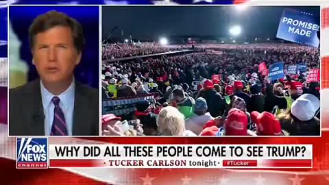 They made Trump, now they can't destroy him.