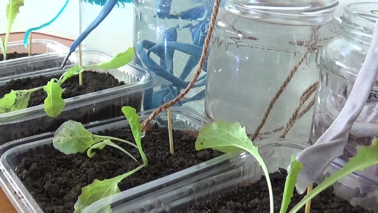 Self watering system for plants using 4 different threads