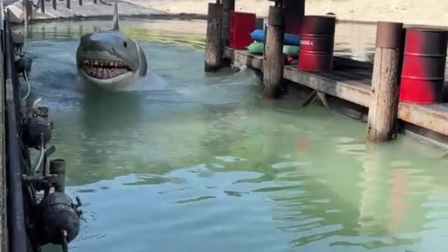 Still can't believe they updated the sound of the great white shark