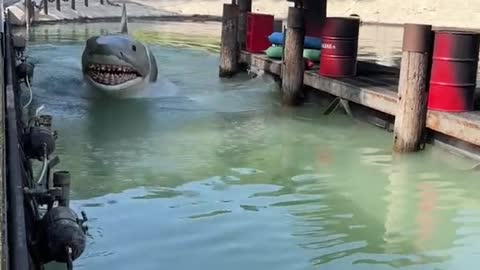 Still can't believe they updated the sound of the great white shark