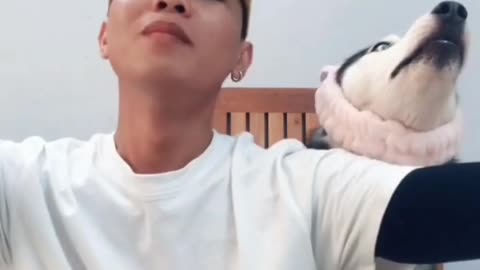 dog song with me