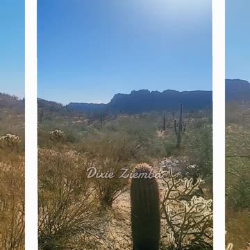 Nature's beauty never ceases to amaze 🌳🌄