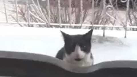 Go home Oliver