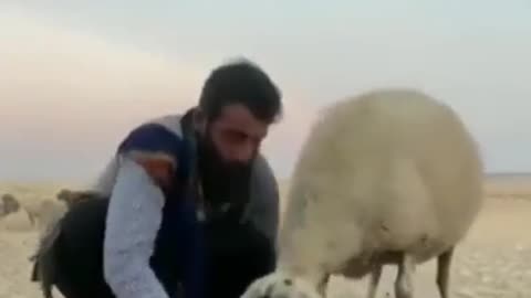 So I had a bite Вот и перекусил