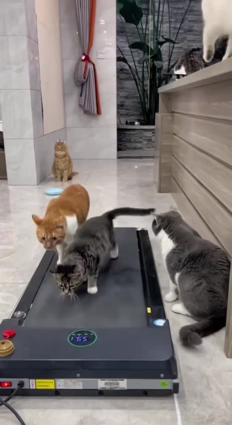 Some take exercising more seriously 😊😍