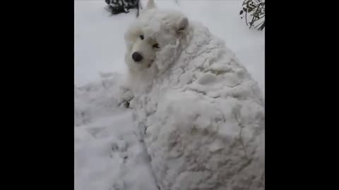 Cutest Animals In The World 😇1 - Super Cute Pets Bring Warmth 💗