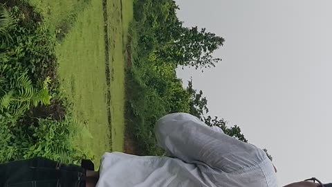 Amazing short videos