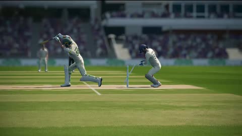 Ashes cricket 19 bowling