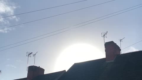 Watch - Miracle - This is a sign from god please watch