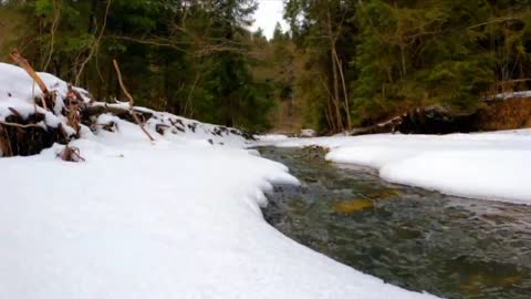 NATURE VIDEO [CREATOR CREATIONS]
