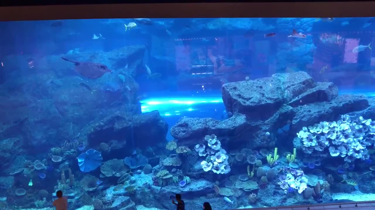 World’s largest aquarium