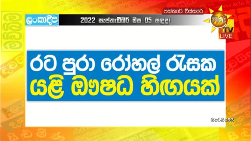 යළි එන ඖෂධ හිඟය - ප්‍රතිපත්තිමය වෙනසක් ඕනෑ - Hiru News