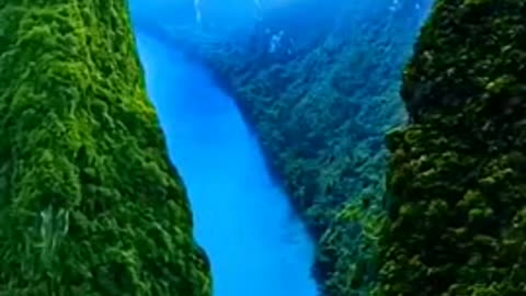 Video • nature video • relaxing music • nature videos