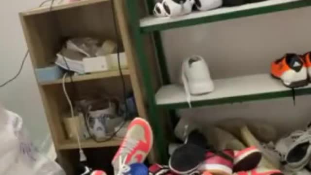 Snake Surprises Live Streamer by Slithering Out of Shoe