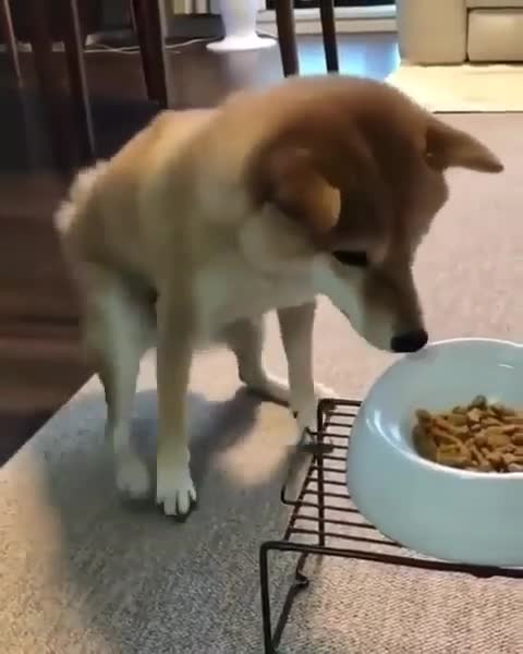 Tag someone that needs to see this!