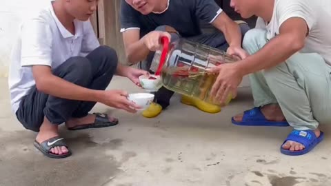 Chinese most funny video best comedy videos
