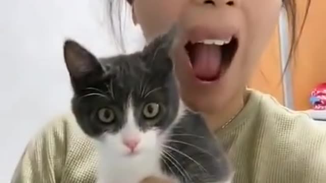 Amazing Funny cats video try to NOT laugh 😃😃